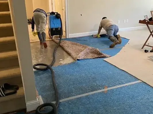 An extraction wand drawing water out of saturated carpet
