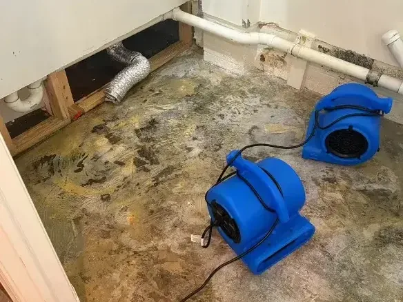 Fans blowing across an exposed subfloor following a pipe leak