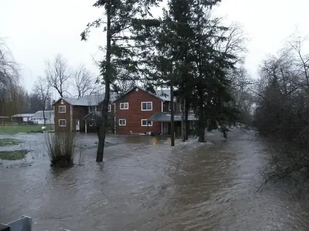 A creek over its banks running past two-story homes and tall trees after heavy rain