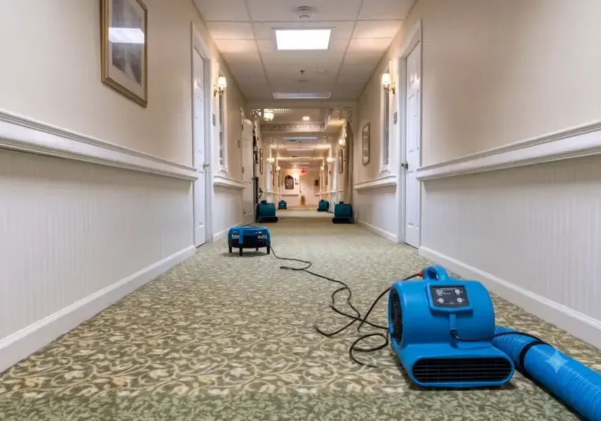 Air mover drying wet carpet along a hotel hallway
